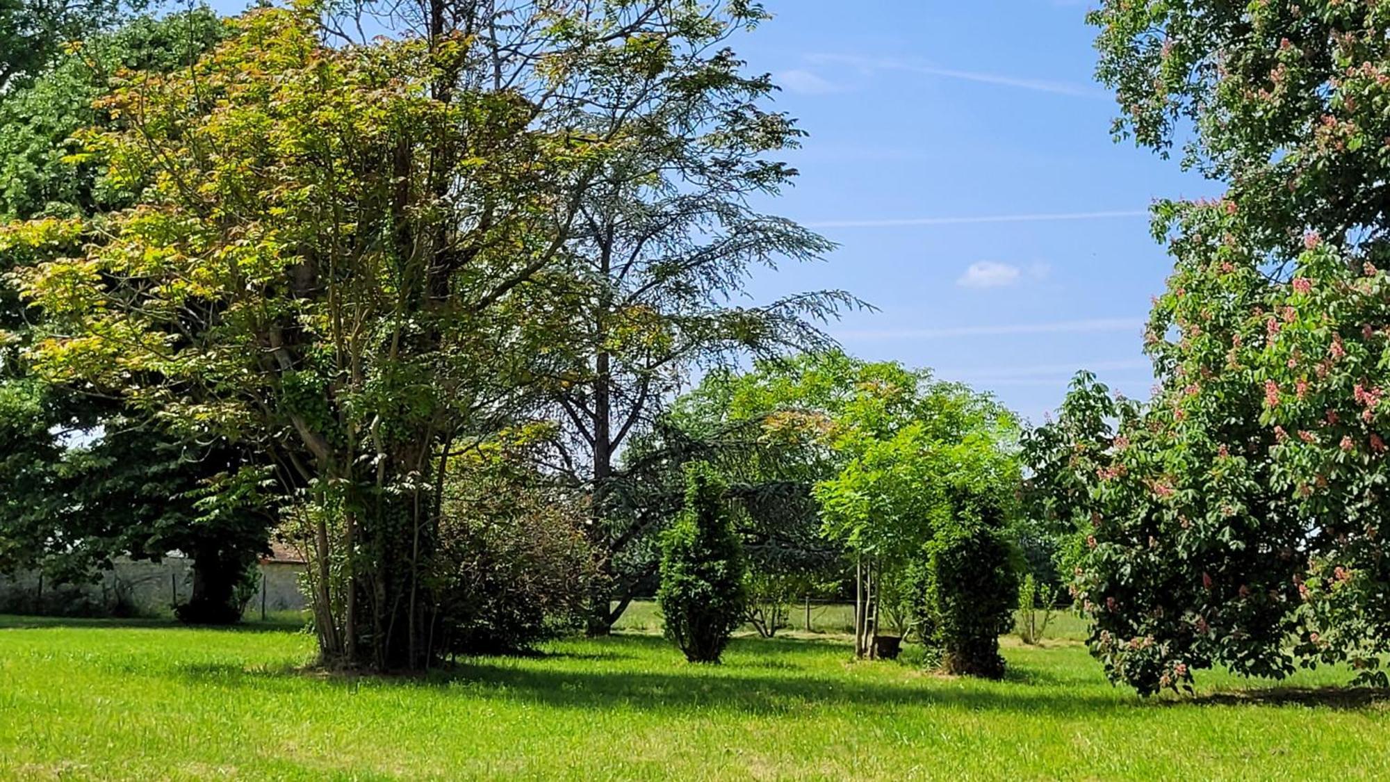 La Trimouille Villa Saint Pierre מראה חיצוני תמונה